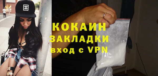 индика Армянск