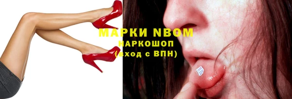 индика Армянск