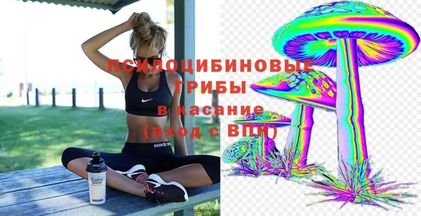 индика Армянск