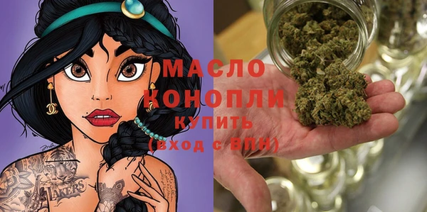 индика Армянск