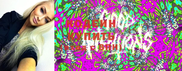 индика Армянск