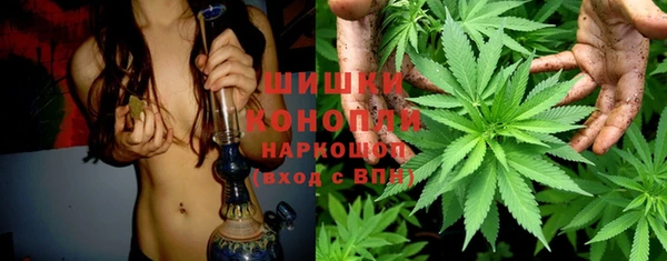 индика Армянск
