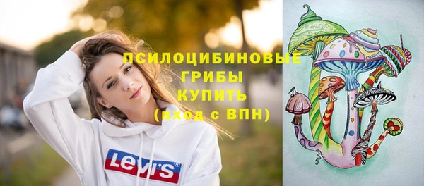 дживик Баксан