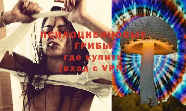 тгк Аркадак