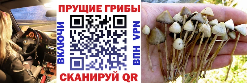 Псилоцибиновые грибы мухоморы Сольвычегодск