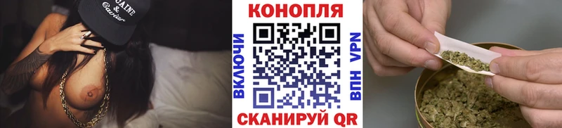 магазин    Сольвычегодск  Конопля Amnesia 